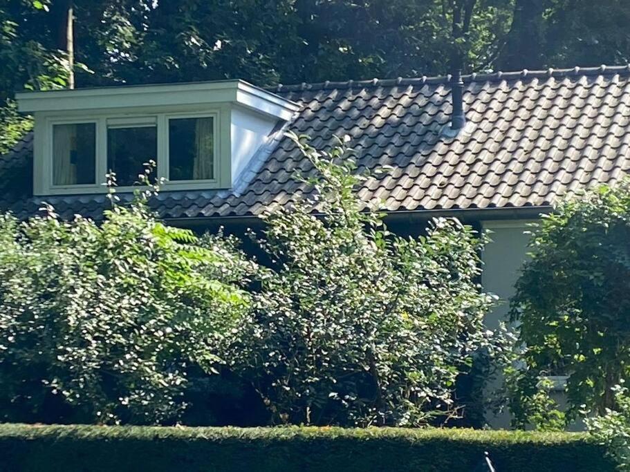 Duinhoek: Luxe Studio, Prachtig En Rustig Gelegen Зейст Экстерьер фото